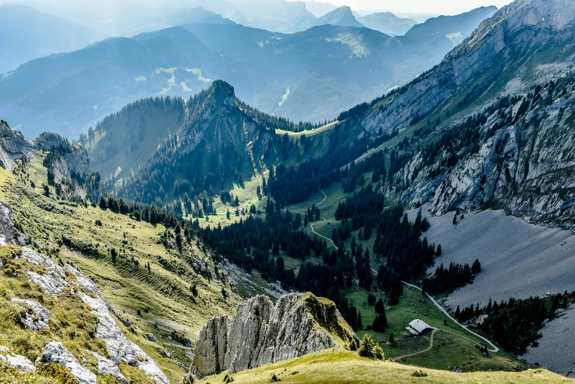 the mountains are covered in very dense vegetation