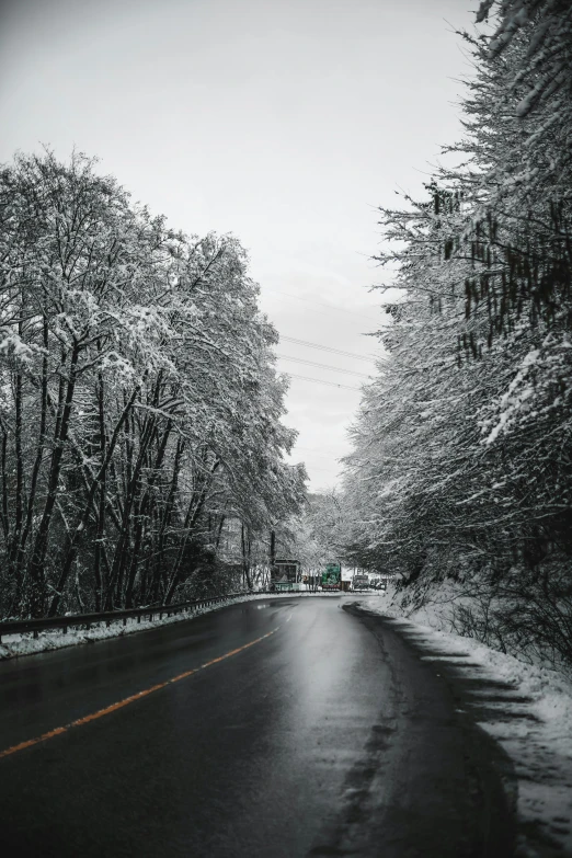 a street with snow on the ground and trees