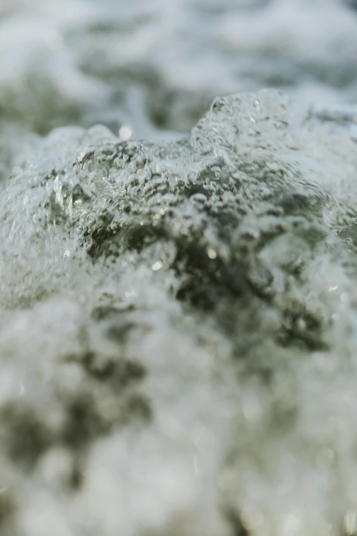 water bubbling and moving around the edge of a river