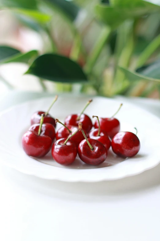 some cherries are sitting on a white plate