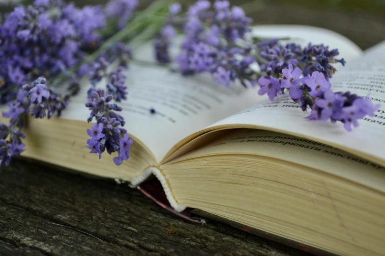 some flowers sitting on top of an open book