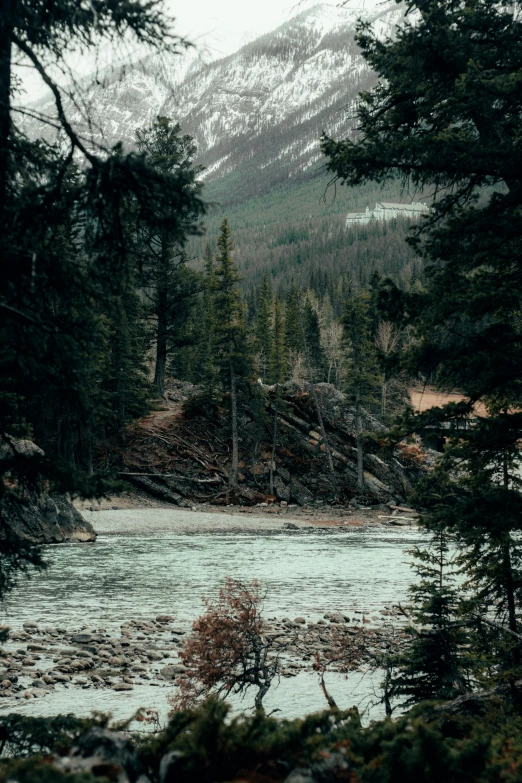 a body of water surrounded by trees and mountains