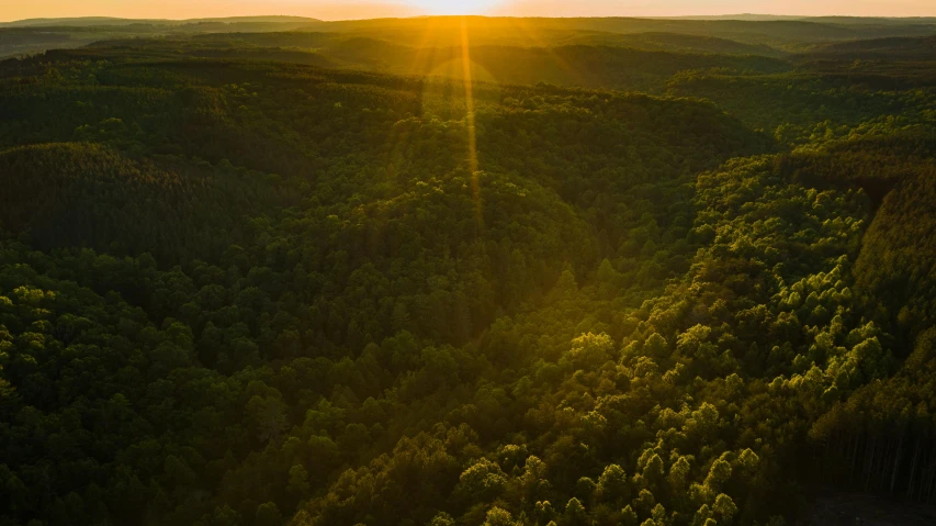 the sun is setting over a large forested area