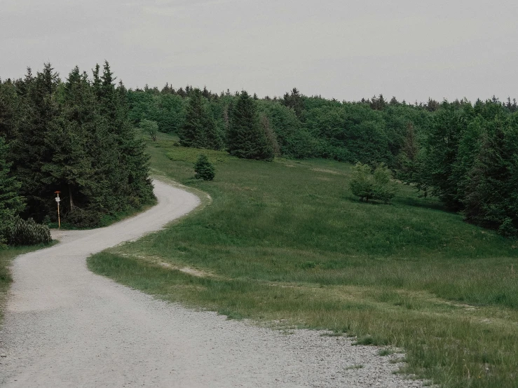 a gravel road going between two wooded areas