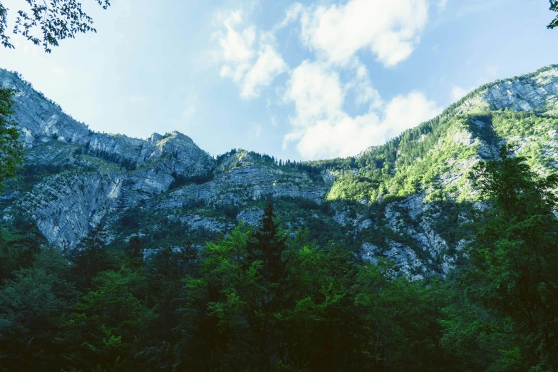 a very tall mountain covered in lots of trees