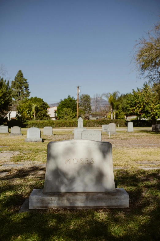 a graveyard in the middle of a green cemetery