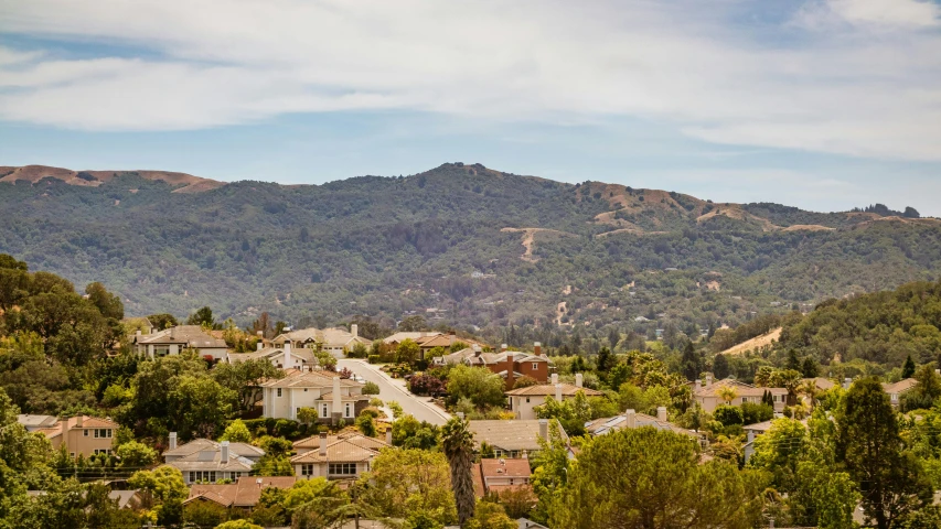 a hill town nestled in the middle of some trees