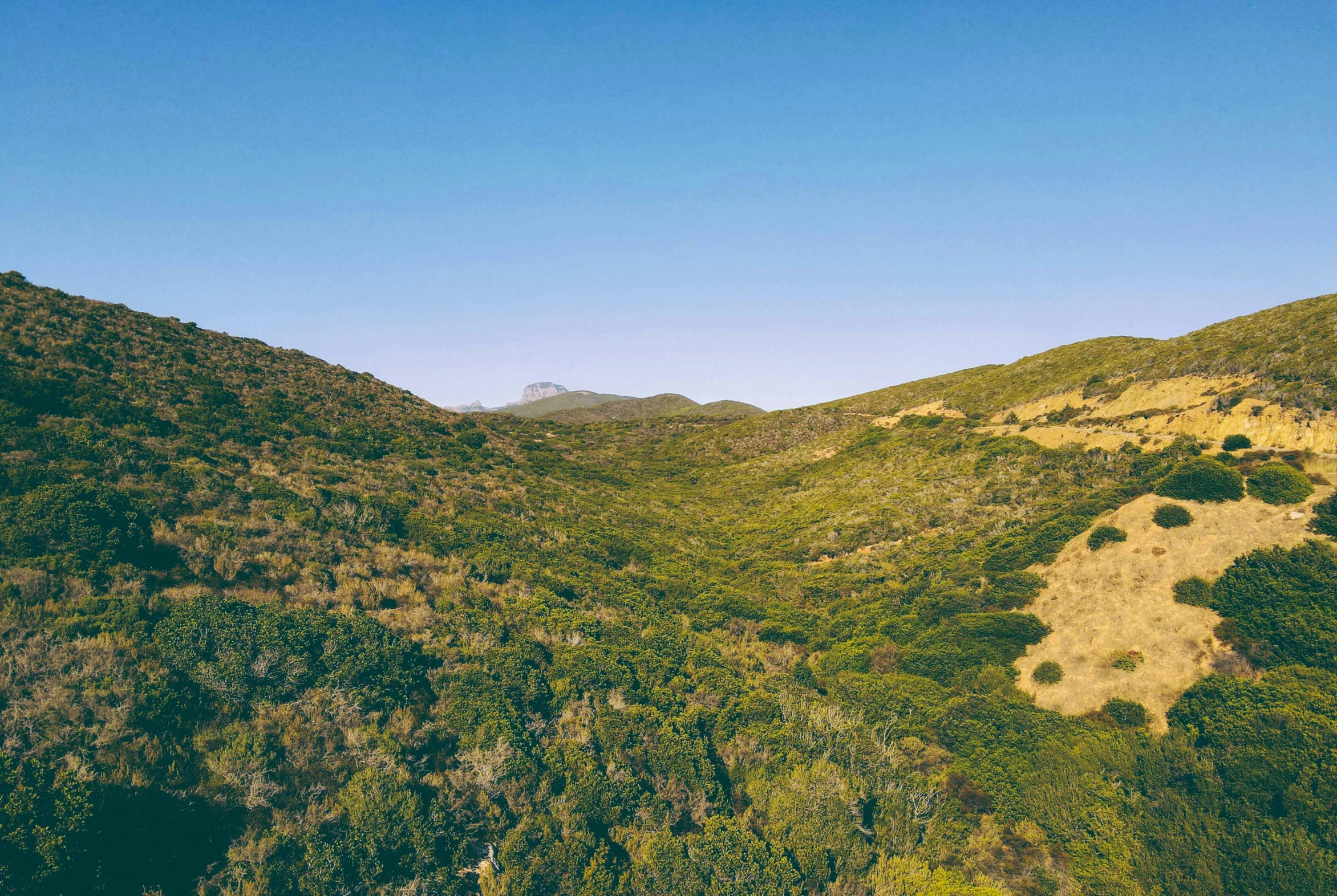 a scenic view of some hills with trees in the foreground