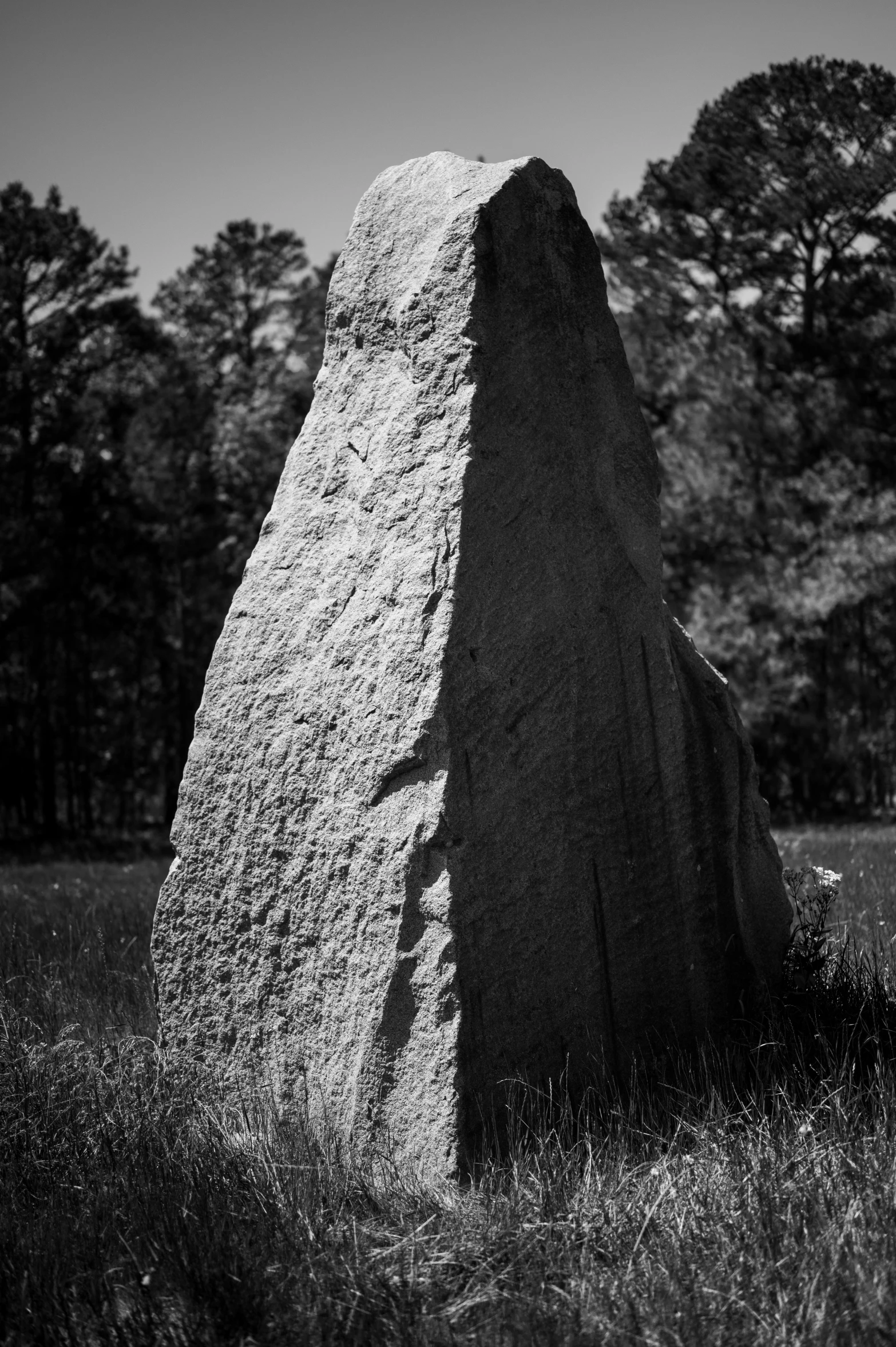 a large rock stands in a field by some trees