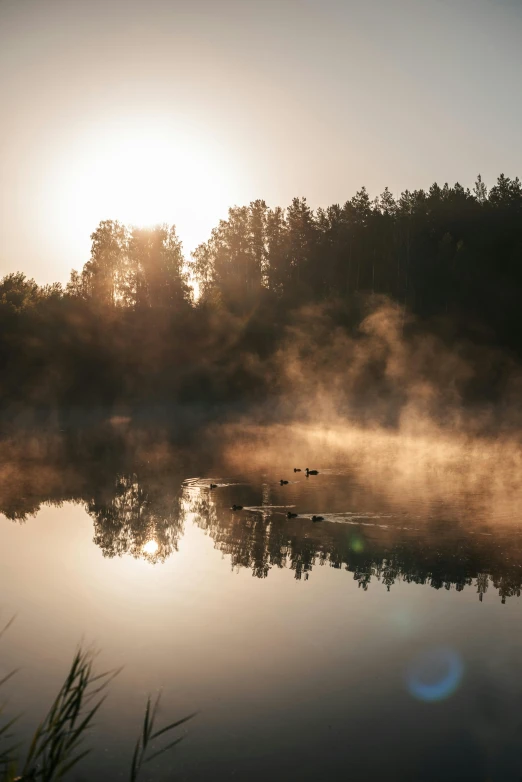 the sun shines brightly over the trees and a boat on a still lake