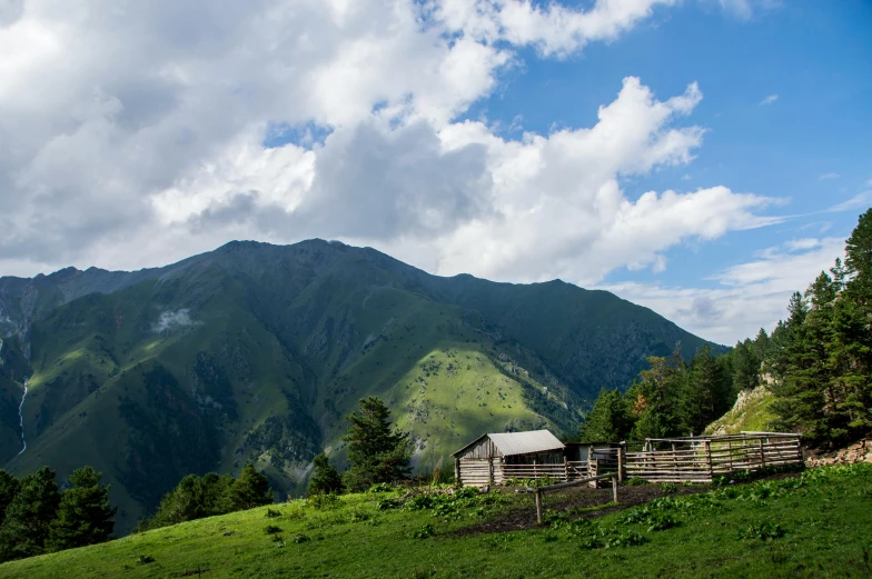 some animals and people are on a green hill