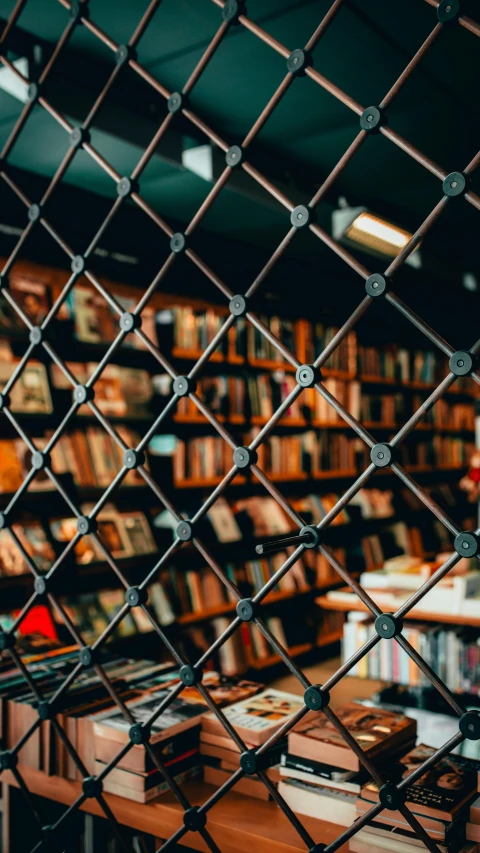 a po of a bookshelf through a fence