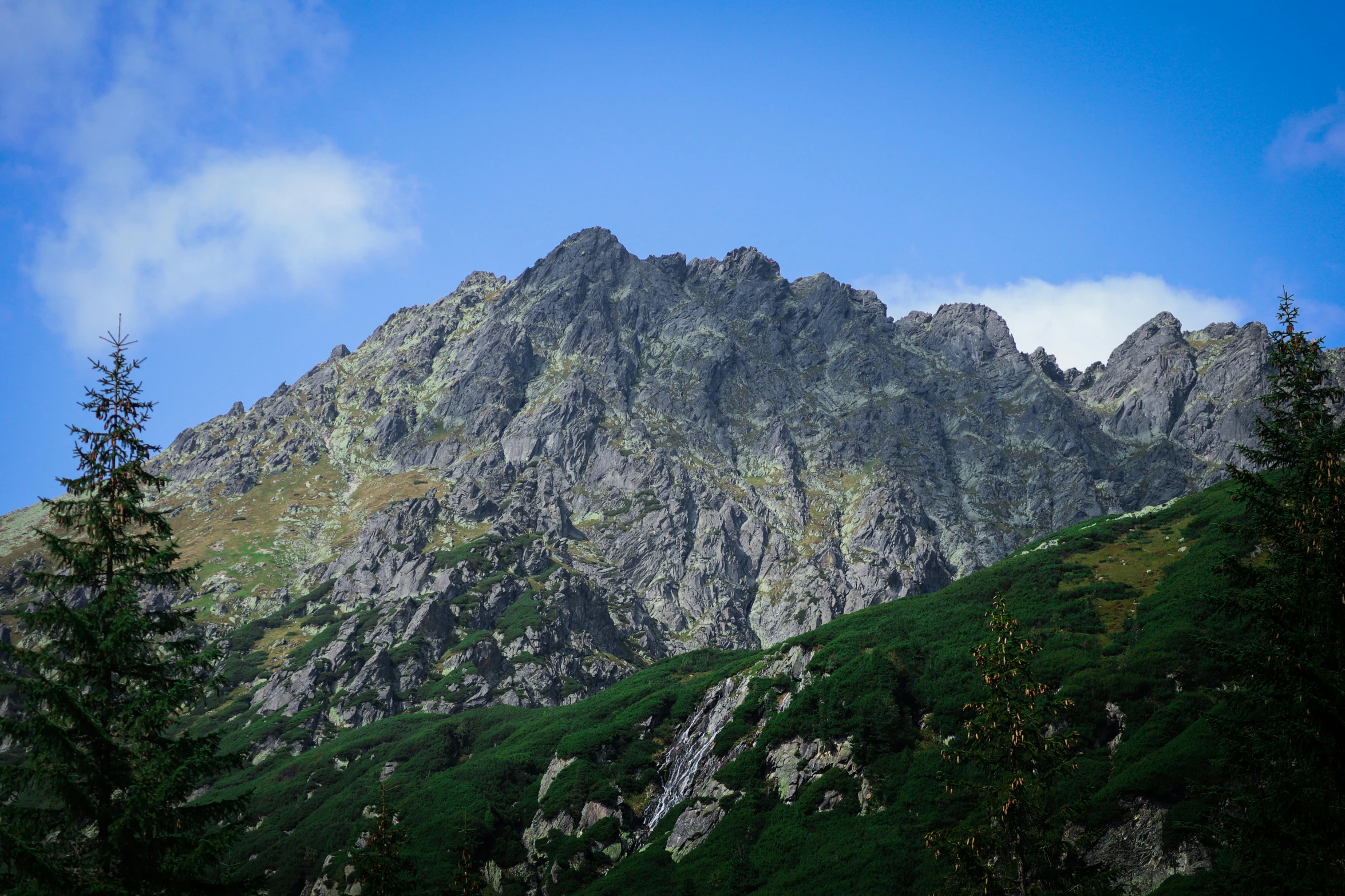 a green landscape with a mountain in the distance