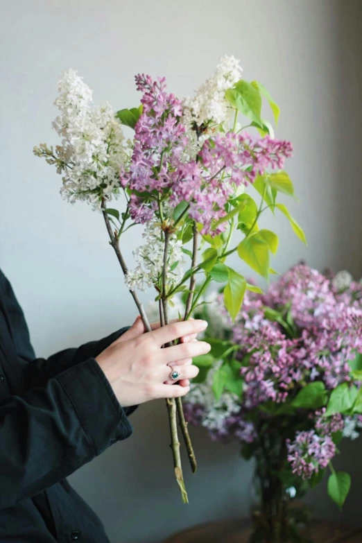 a person holding up some flowers in front of purple and white flowers