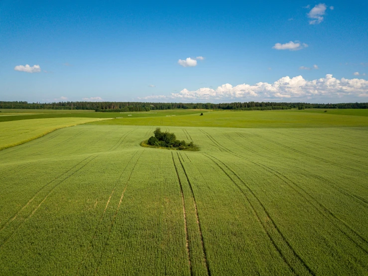 an aerial view of a field with trees and a car