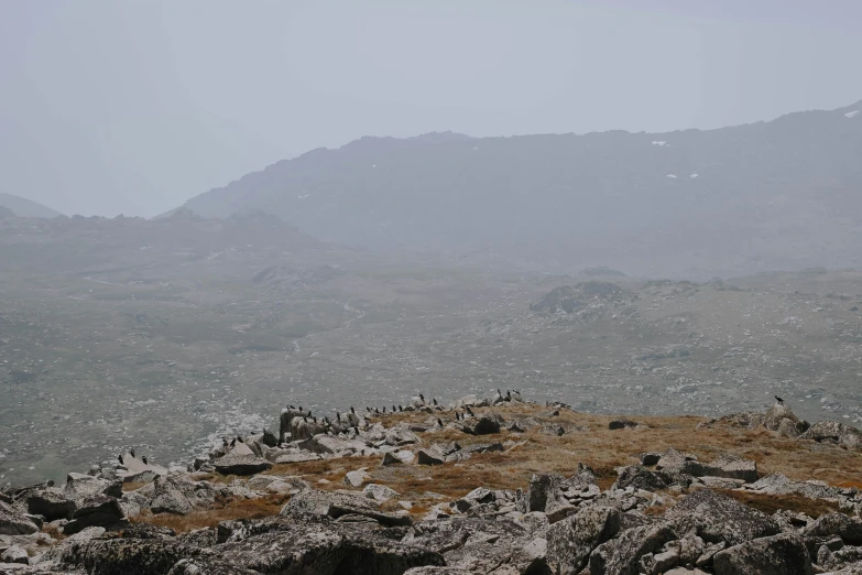 the landscape is not very rocky, but this is a mountain in the distance