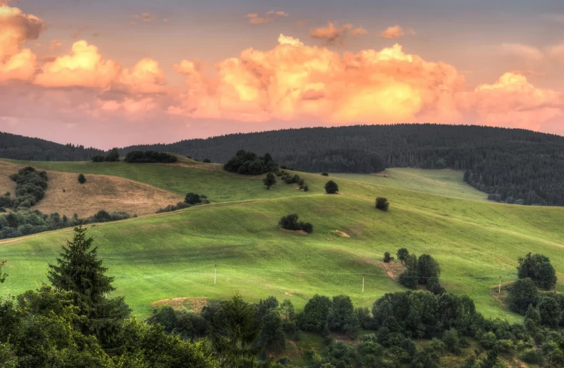 an expansive mountain landscape with trees in the foreground