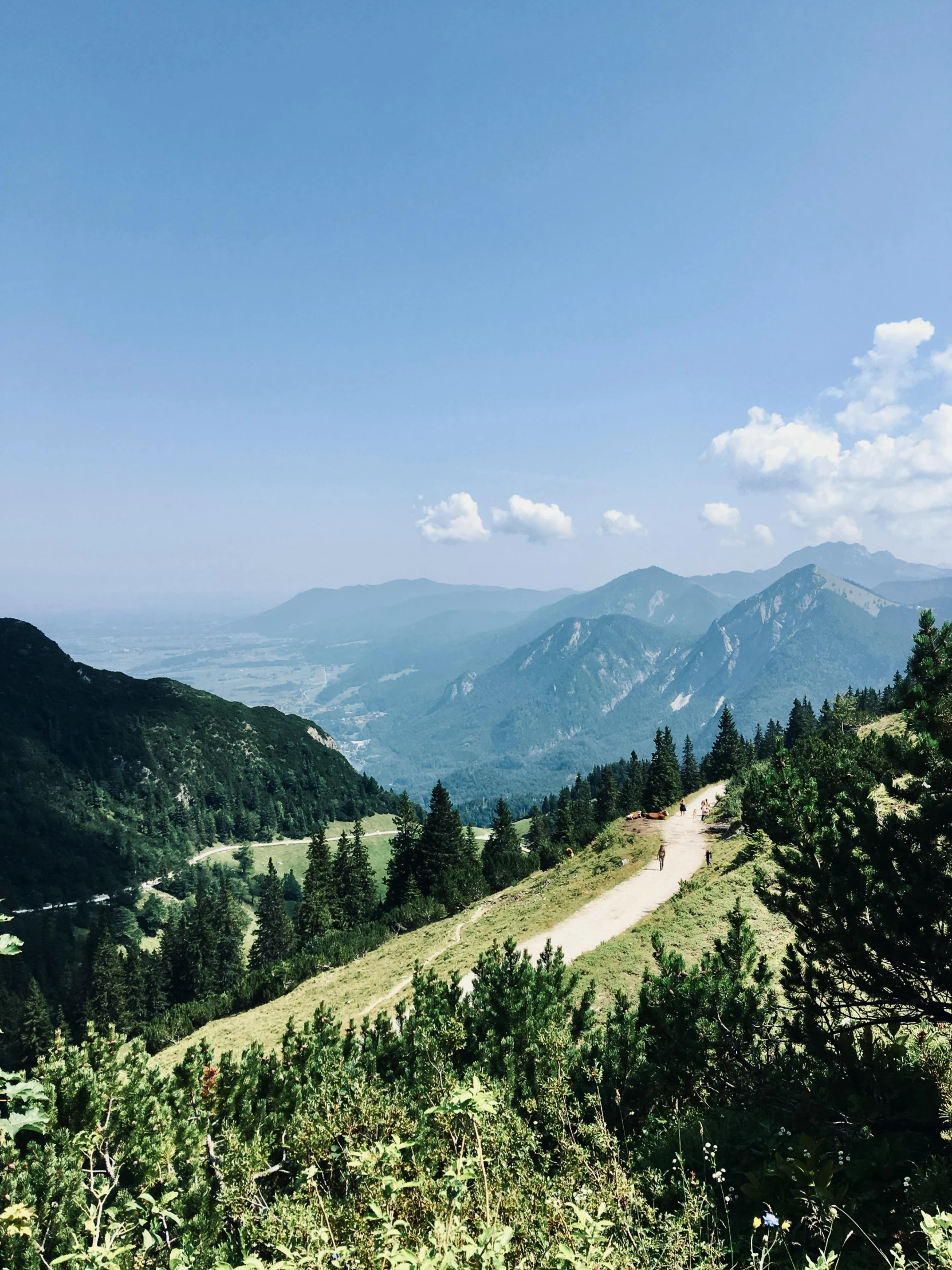 people on trail up the side of a mountain