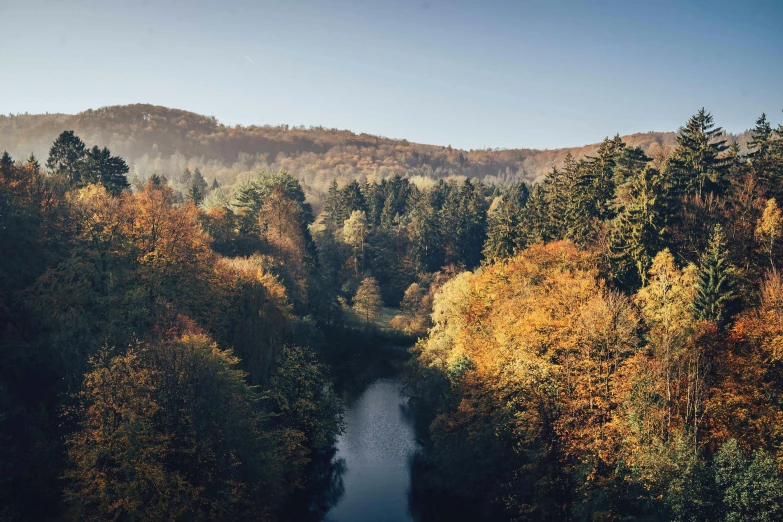 a river and trees in the woods surrounded by hills