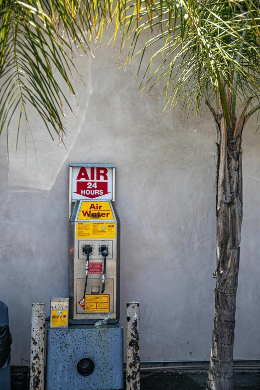 a parking meter sitting on the sidewalk next to a palm tree