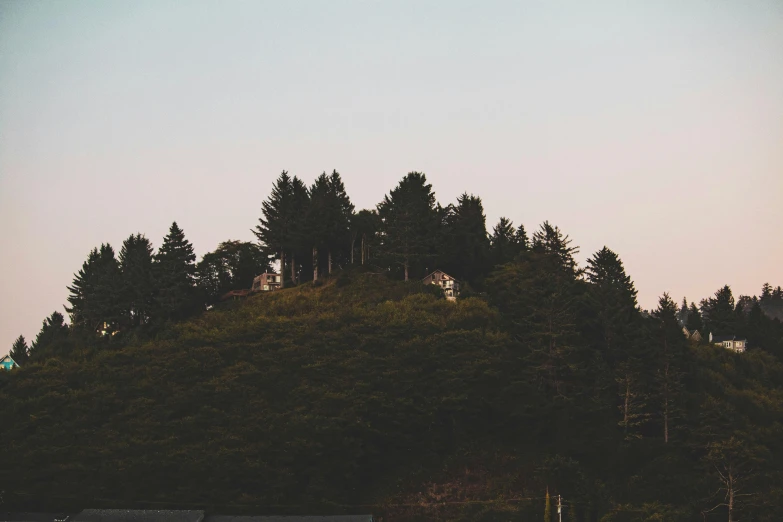 an airplane flying over a small island near some trees