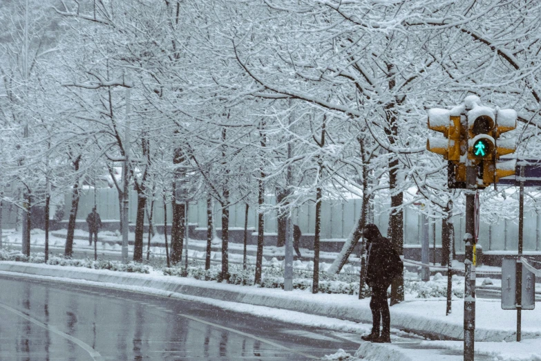 person walking down a snowy street while the snow is covering the trees