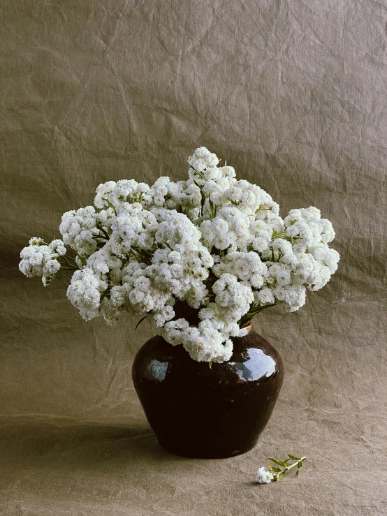 a vase that has some white flowers in it