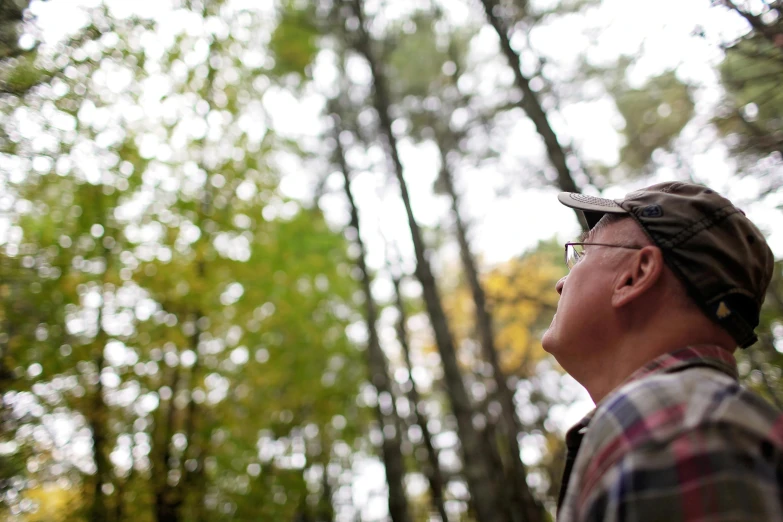 a man stands in the woods, looking up into the sky