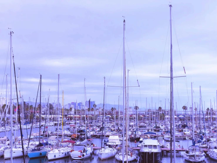 several boats moored at a harbor in the ocean