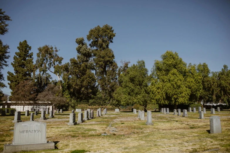 a row of graves in an open area with trees