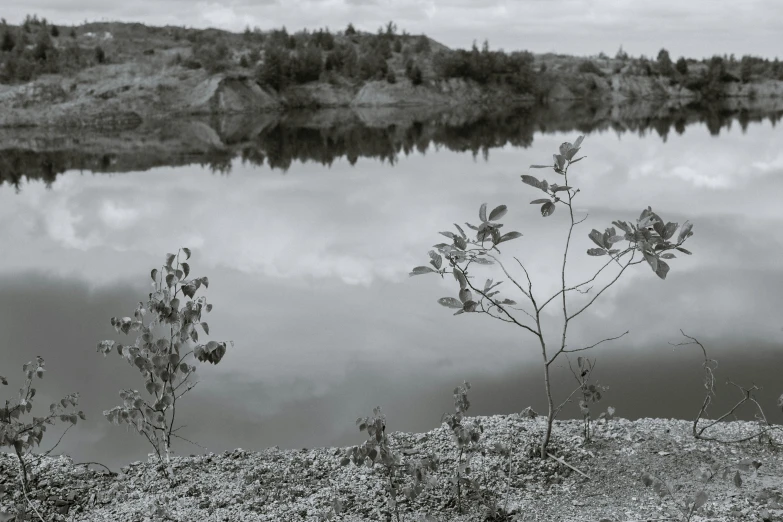 a black and white po with a lake in the background