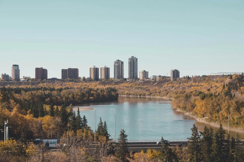 the cityscape looks out onto the pond and across the road