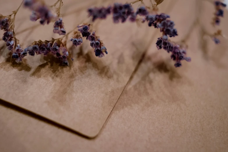 a sheet of paper with purple flowers printed on it