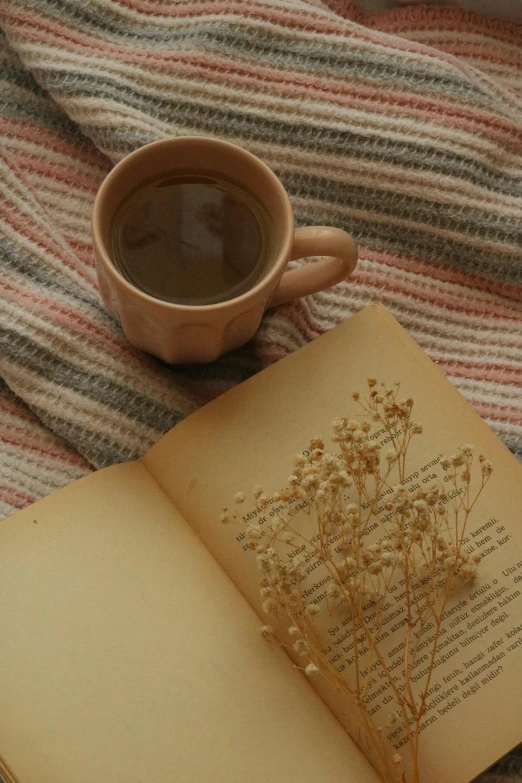 a book and cup of coffee sit on top of a blanket