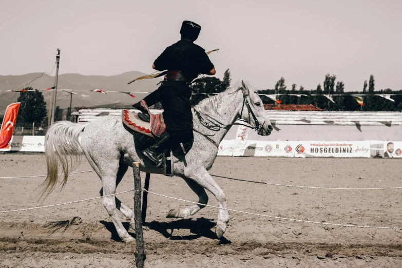 a person riding on the back of a white horse