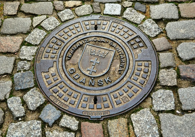 the stone sidewalk is decorated with a coat of arms