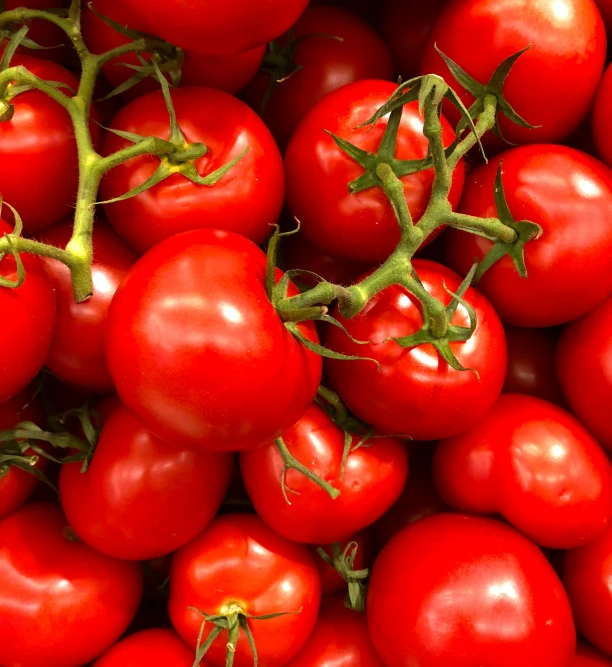a group of red tomatoes are piled high