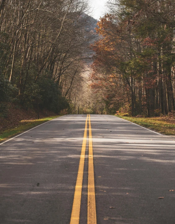 a street lined with trees and some yellow lines