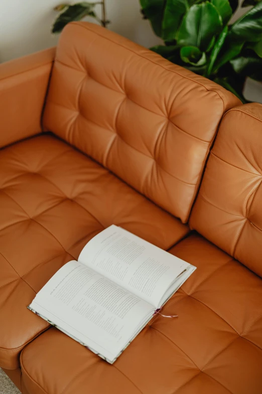 a book on a corner couch with plant in background