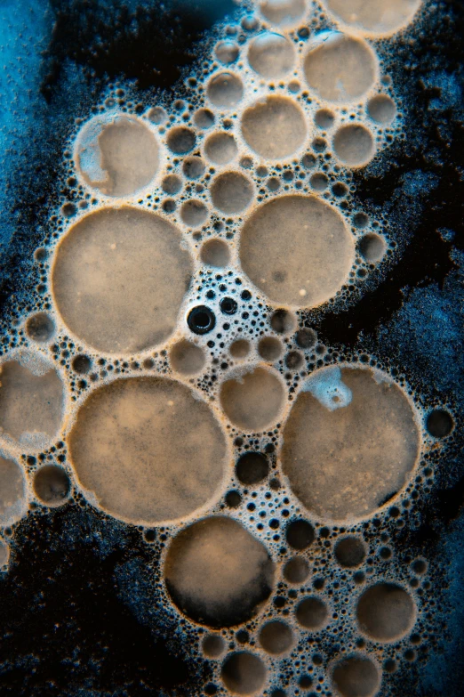 bubbles are on the surface of a black substance