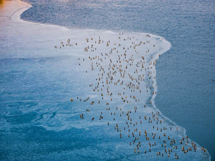 an aerial view of a group of people on the beach
