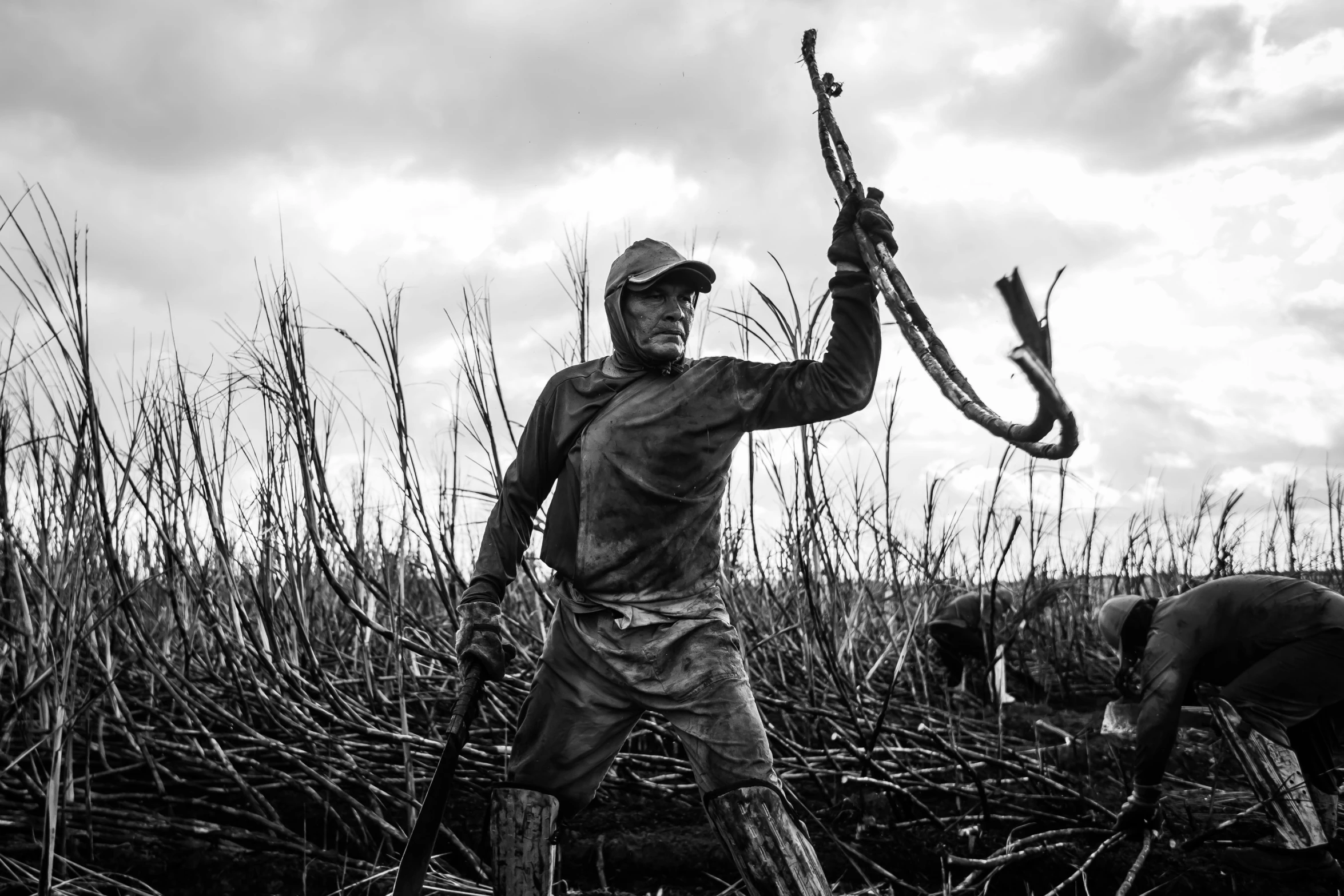 a man holding a bow in a field