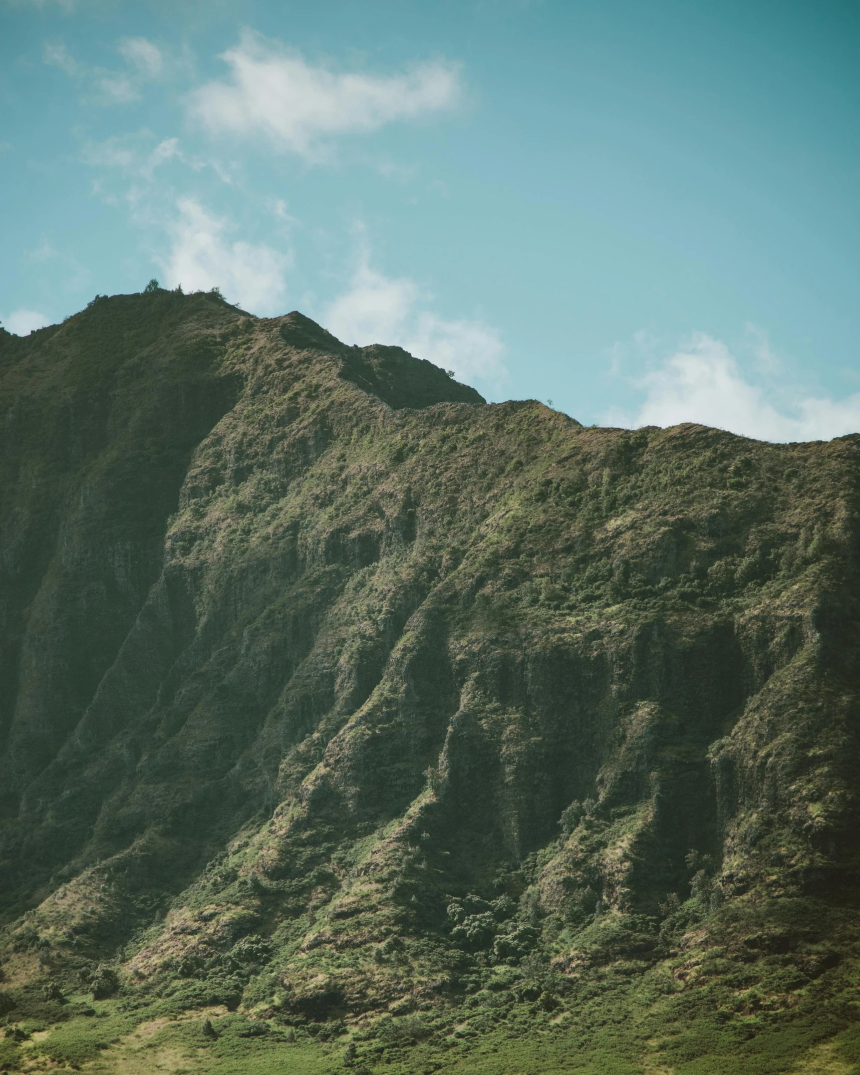 a mountain is shown with a grassy field in front