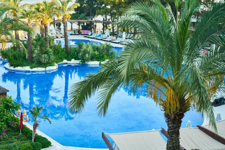 a pool surrounded by palm trees next to buildings