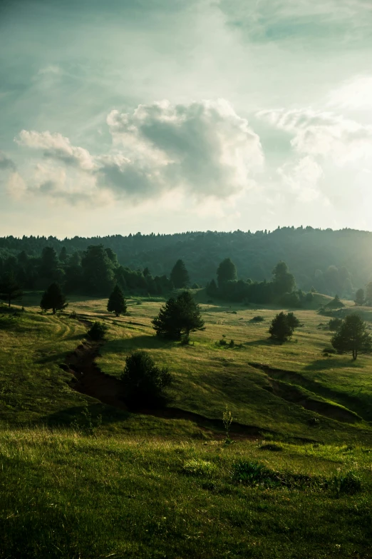 the sun shines brightly on a field of grass