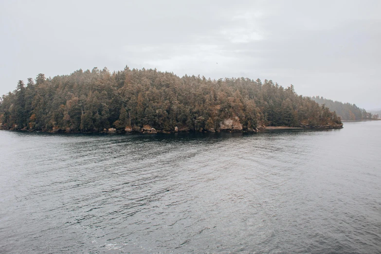 an island with several trees on one side and no snow