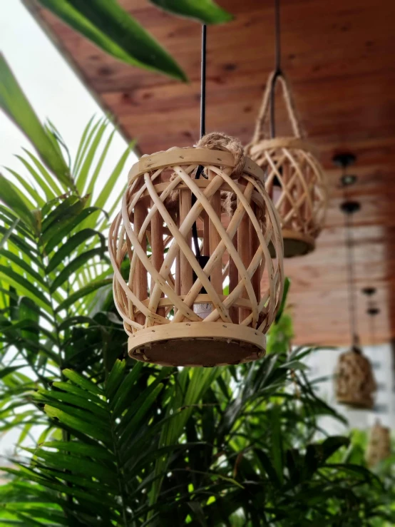 a hanging basket is hung from the ceiling in front of some plants