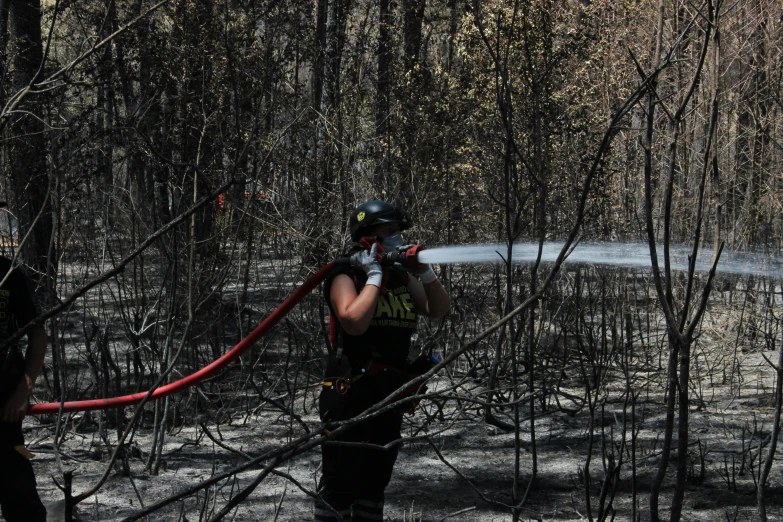 a person in uniform standing next to trees with a hose