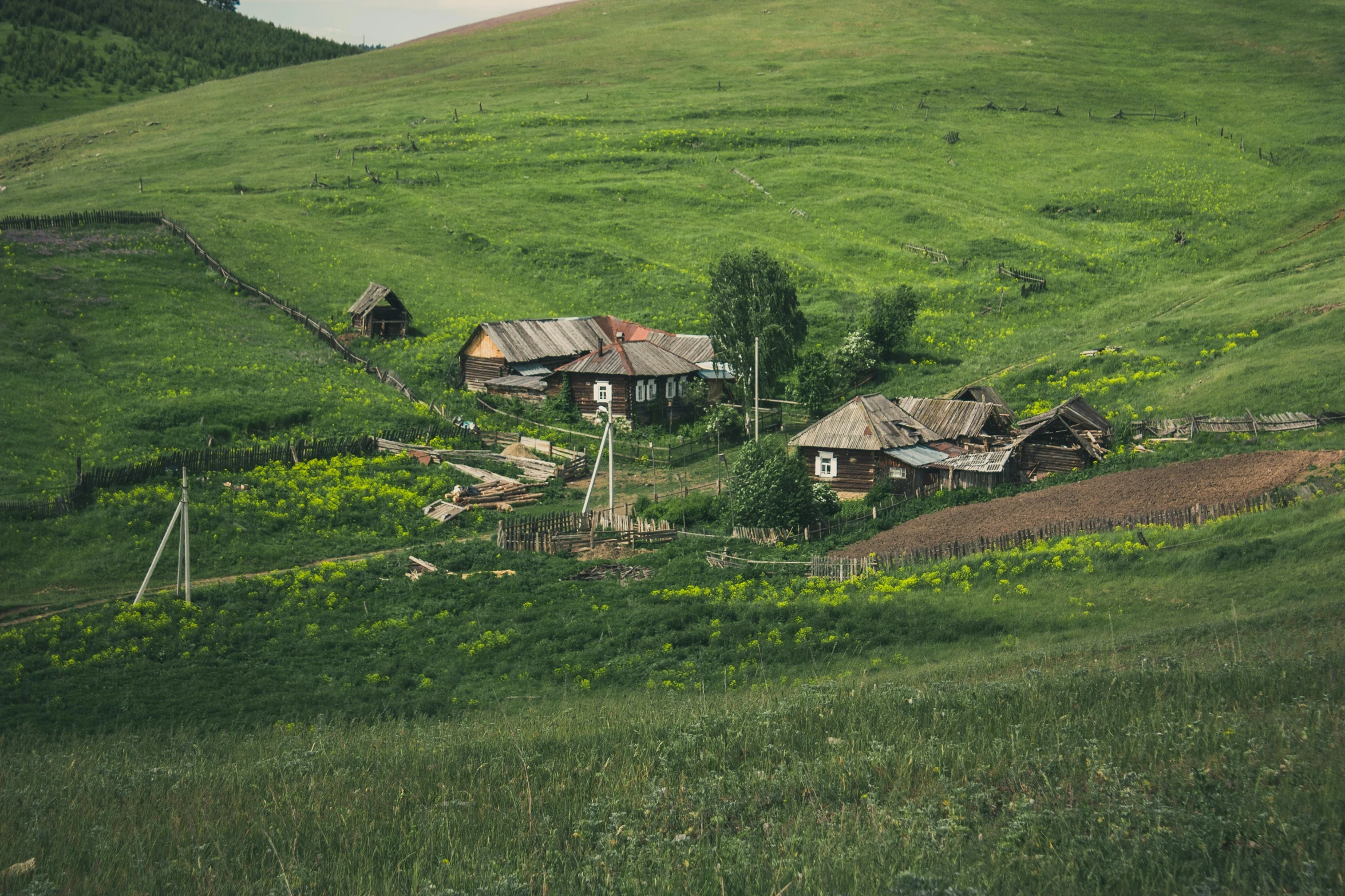 some houses on a lush green hill side