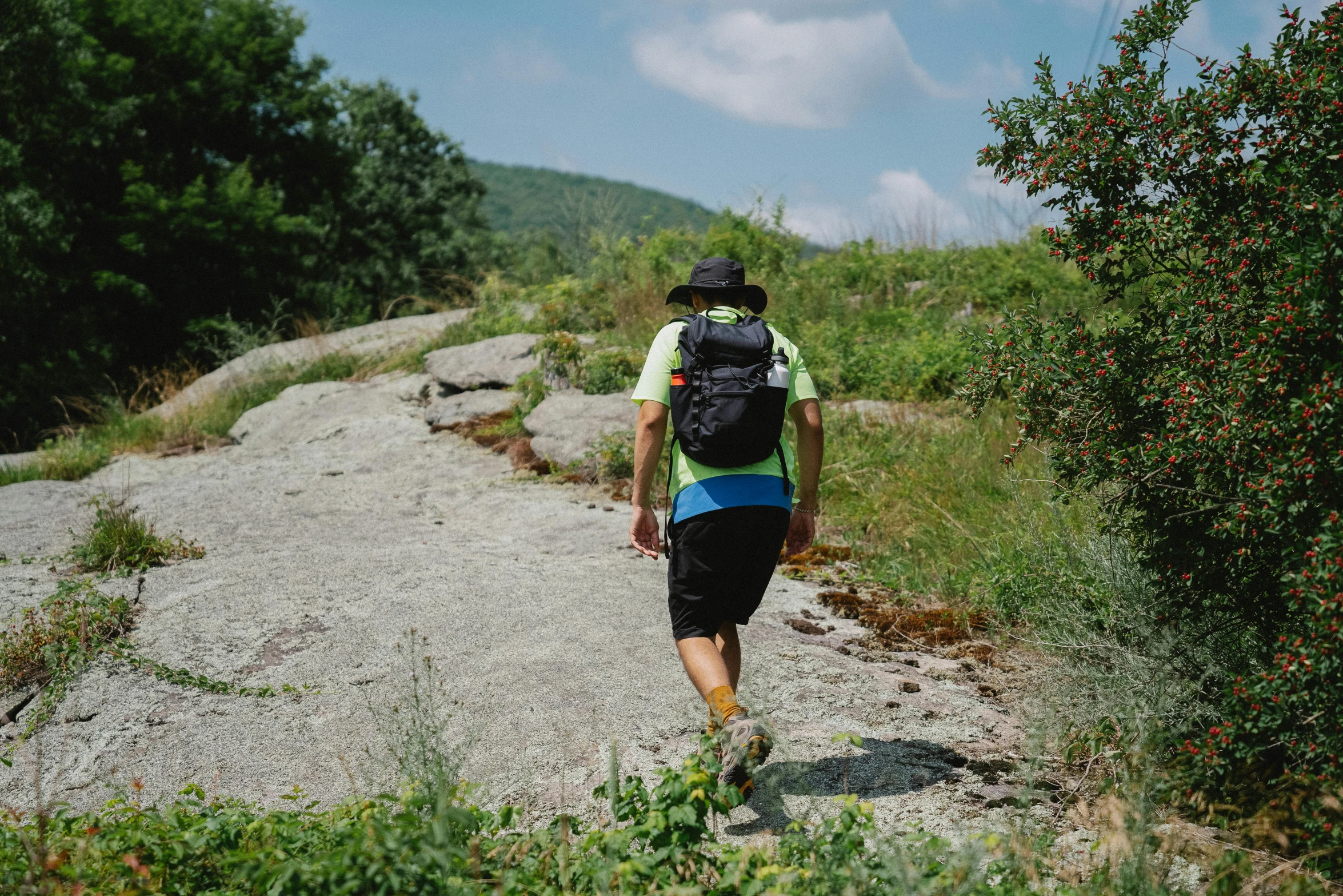 a hiker on a trail going through the brush